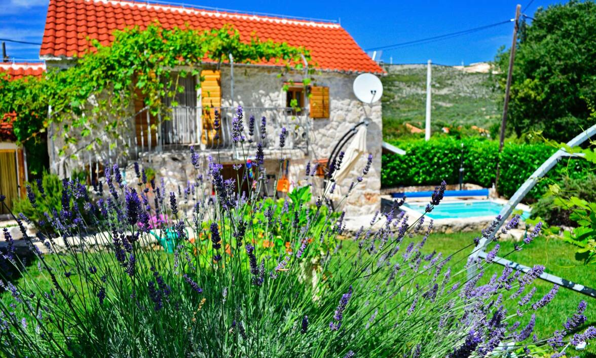 Traditional architecture 