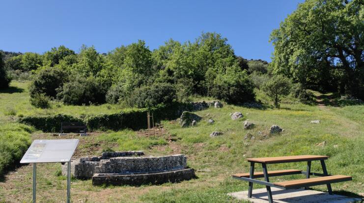 Projekti: "Biljna staza - Put Grote" i "Tematski park Bunari"
