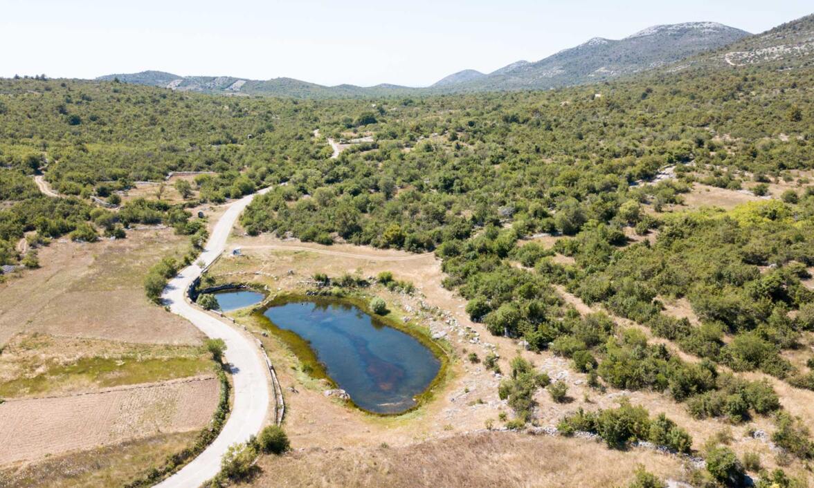 Bliznica pond (Blizna Gornja)