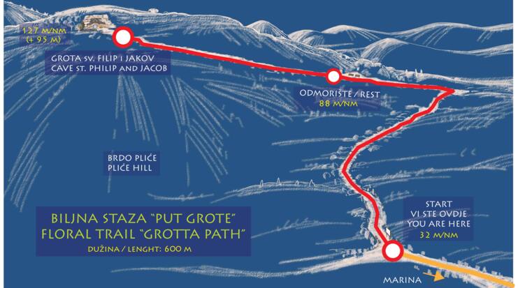 Wandern & Trail